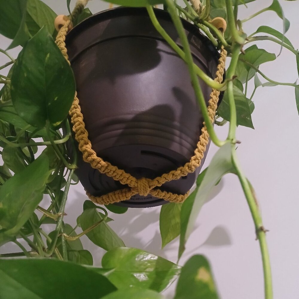 Tassel-free Plant Hanger
